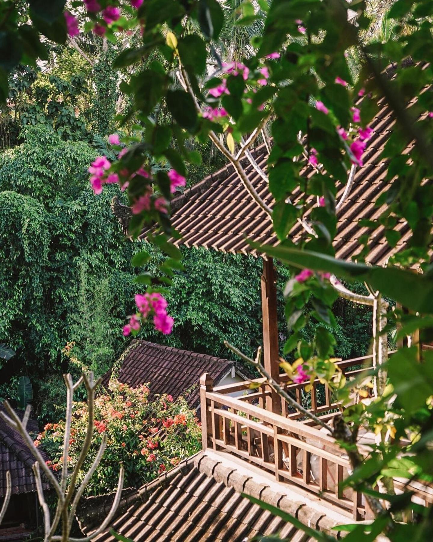 Down The Rabbit Hole Apartment อูบุด ภายนอก รูปภาพ